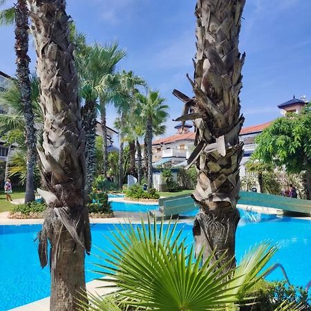 Sunny Apartment Costa Blanca ラ・マタ エクステリア 写真